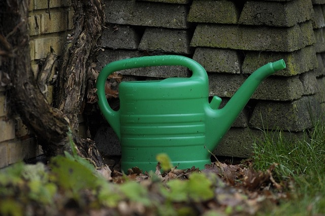 watering can, garden tools, green jug, watering can, watering can, watering can, garden tools, garden tools, garden tools, garden tools, garden tools