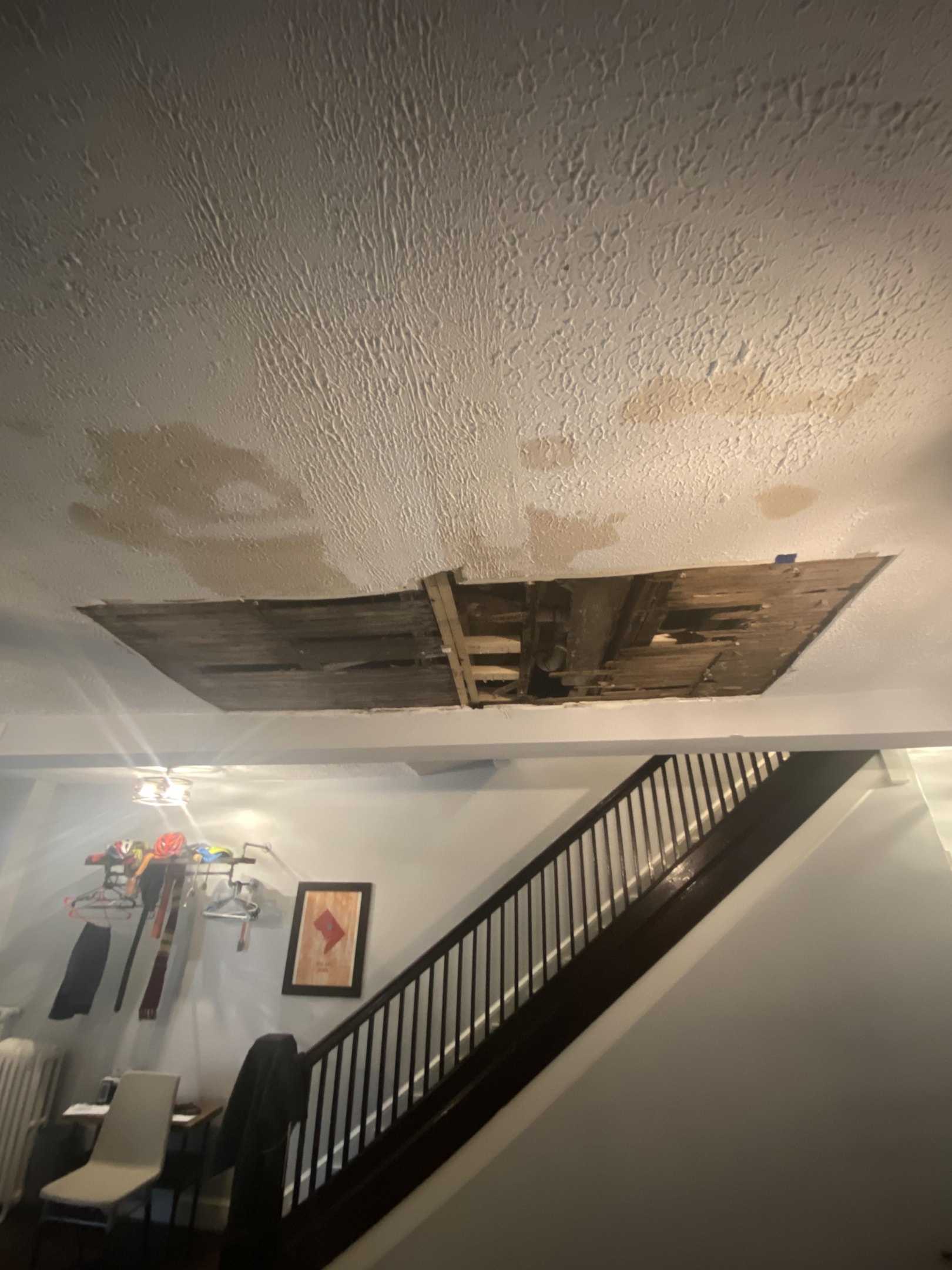 Towson Maryland black mold 