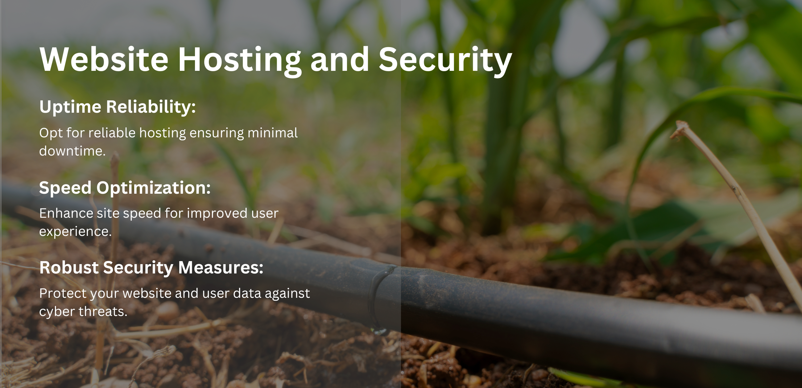 Safeguarding Your Digital Fortress: Website Security