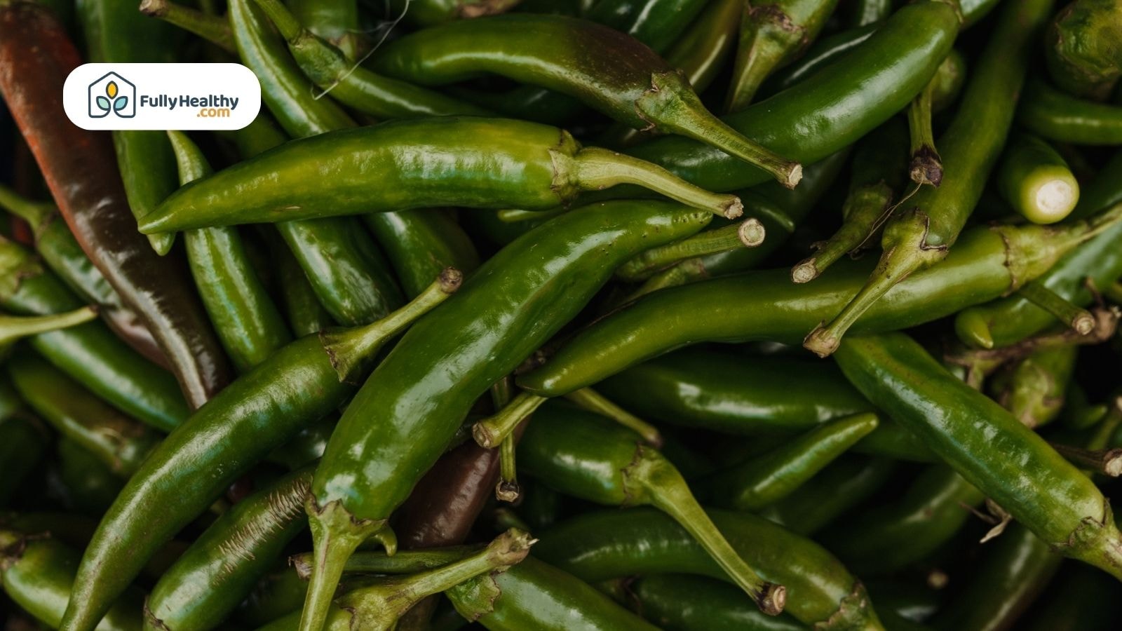 Dark green jalapeño peppers mixed with ripening red jalapeños