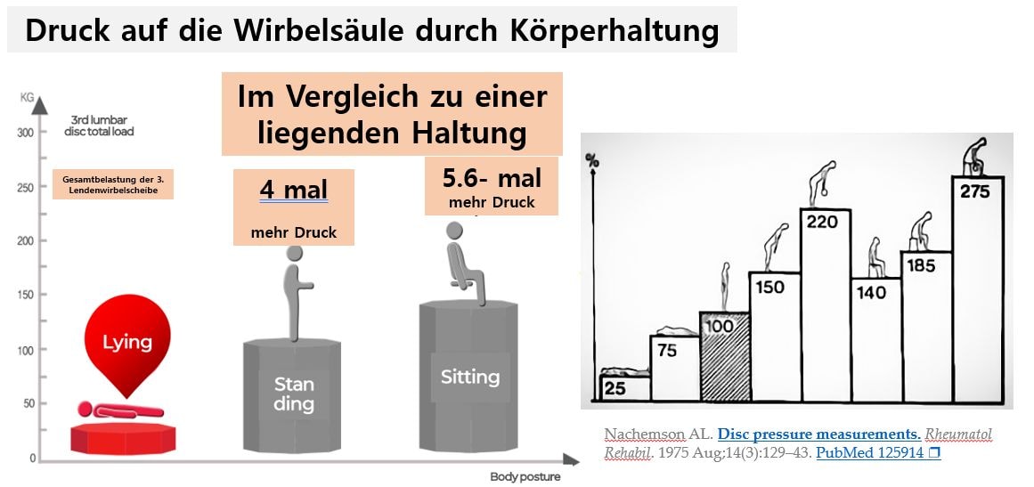 Im Liegen ist der Druck auf unsere Wirbelsäule am geringsten