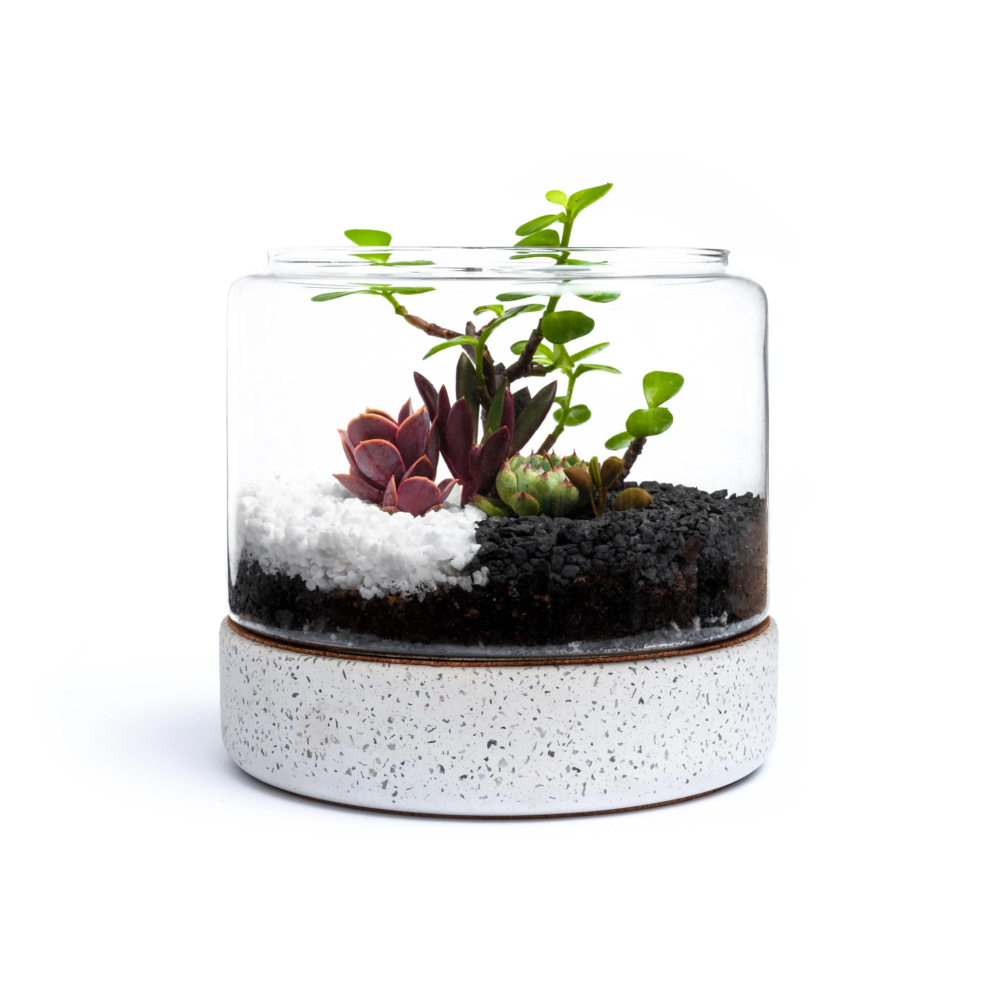 https://littlegren.com.au/collections/premium-collection/products/little-haven-succulent-terrarium