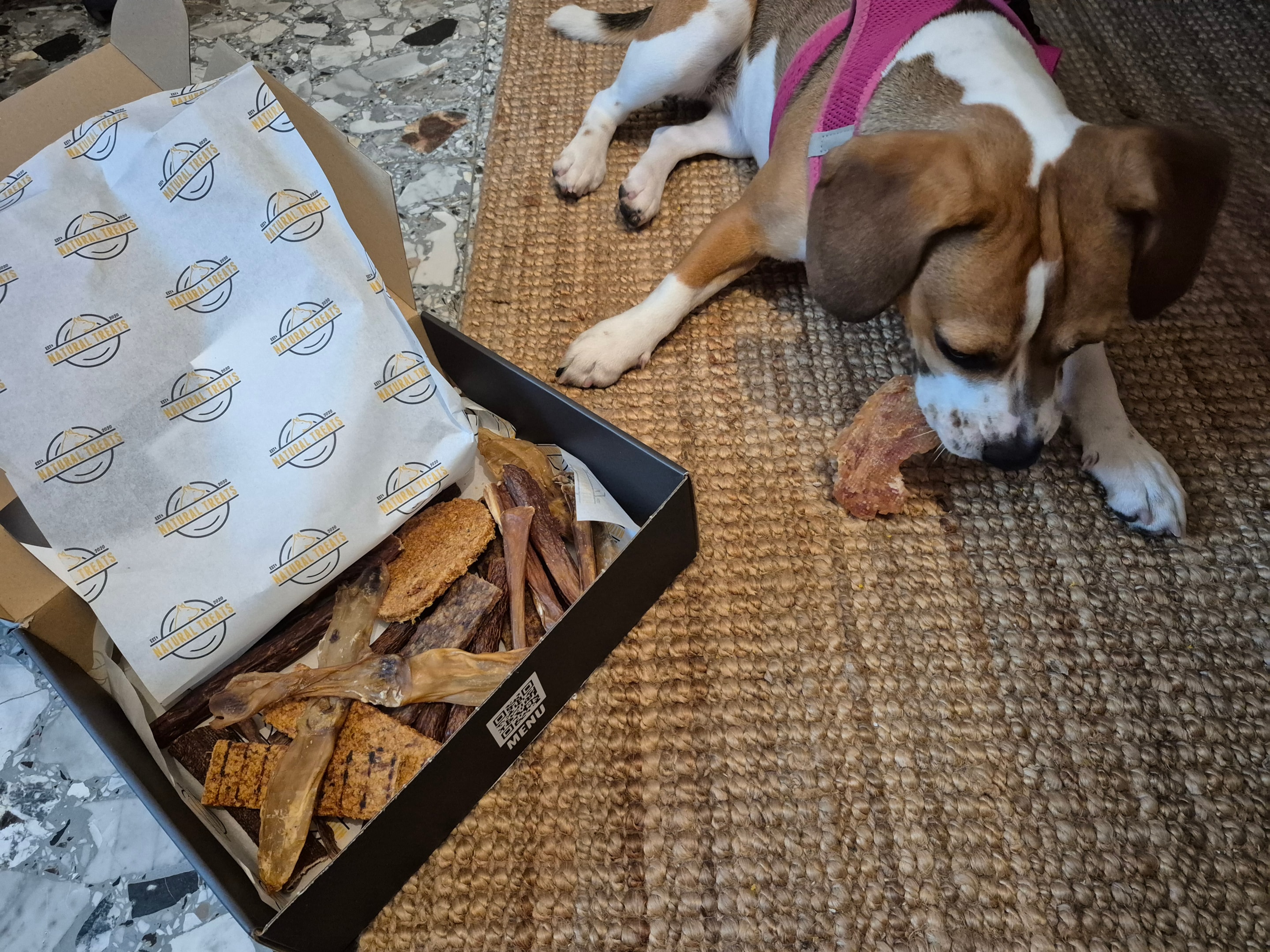 A puppy enjoying a box of natural dog treats from Natora