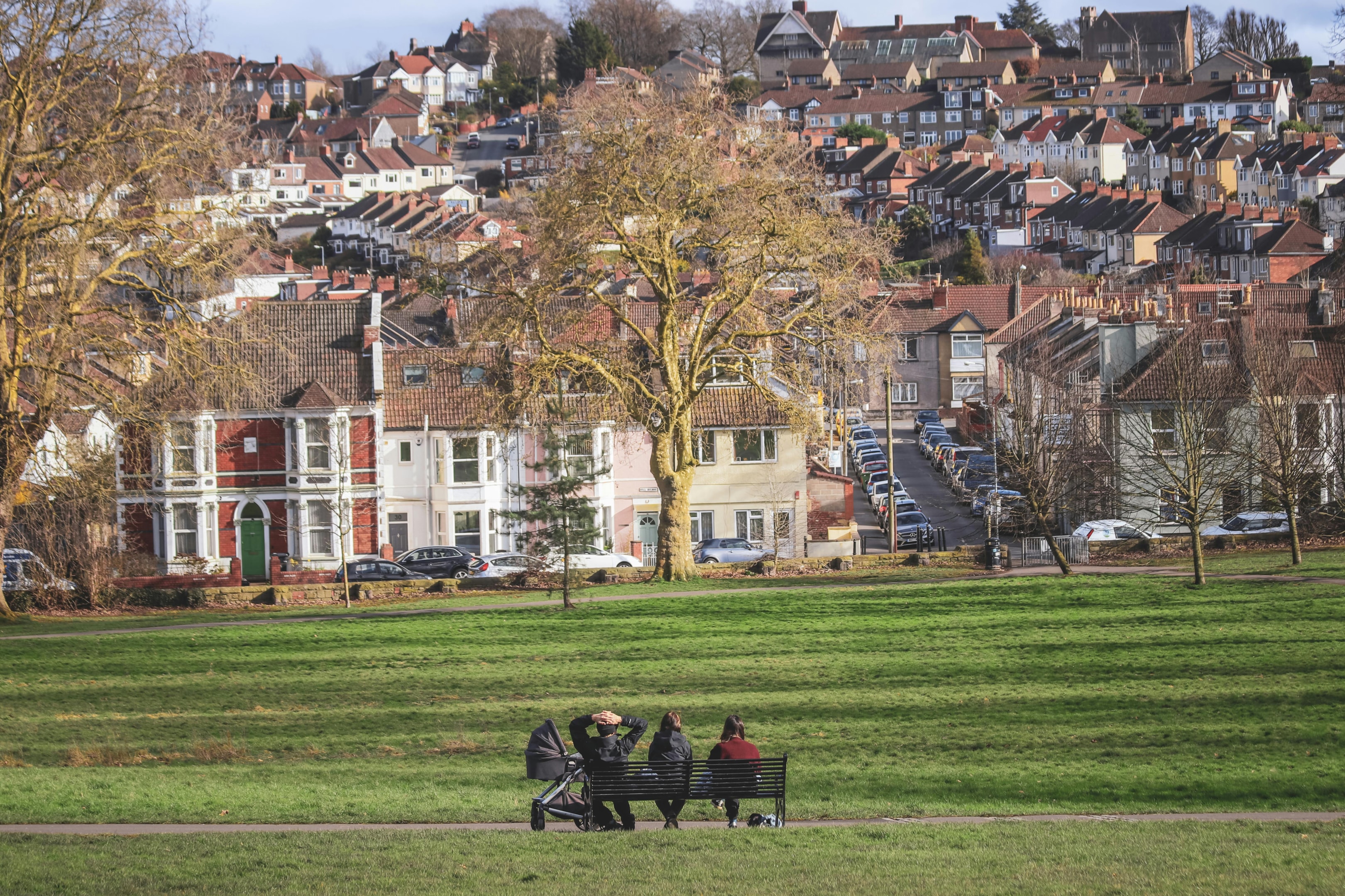 Bristol houses across victoria park. 