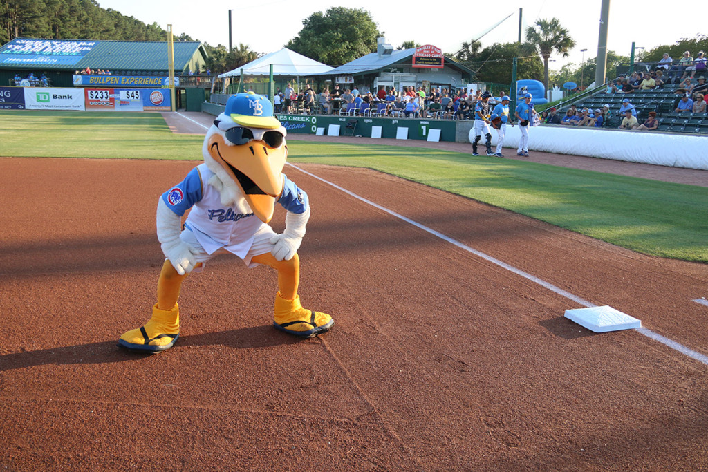 Myrtle Beach Pelicans The Ultimate Baseball Experience Cozy Turtle