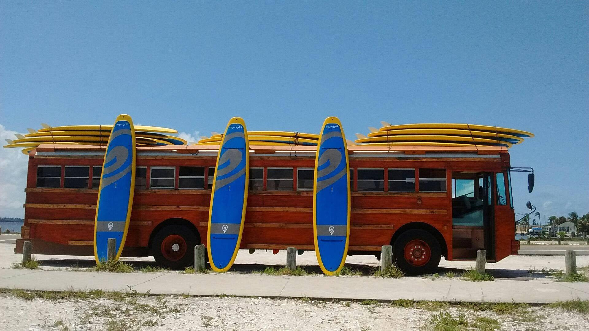 paddle board rentals 