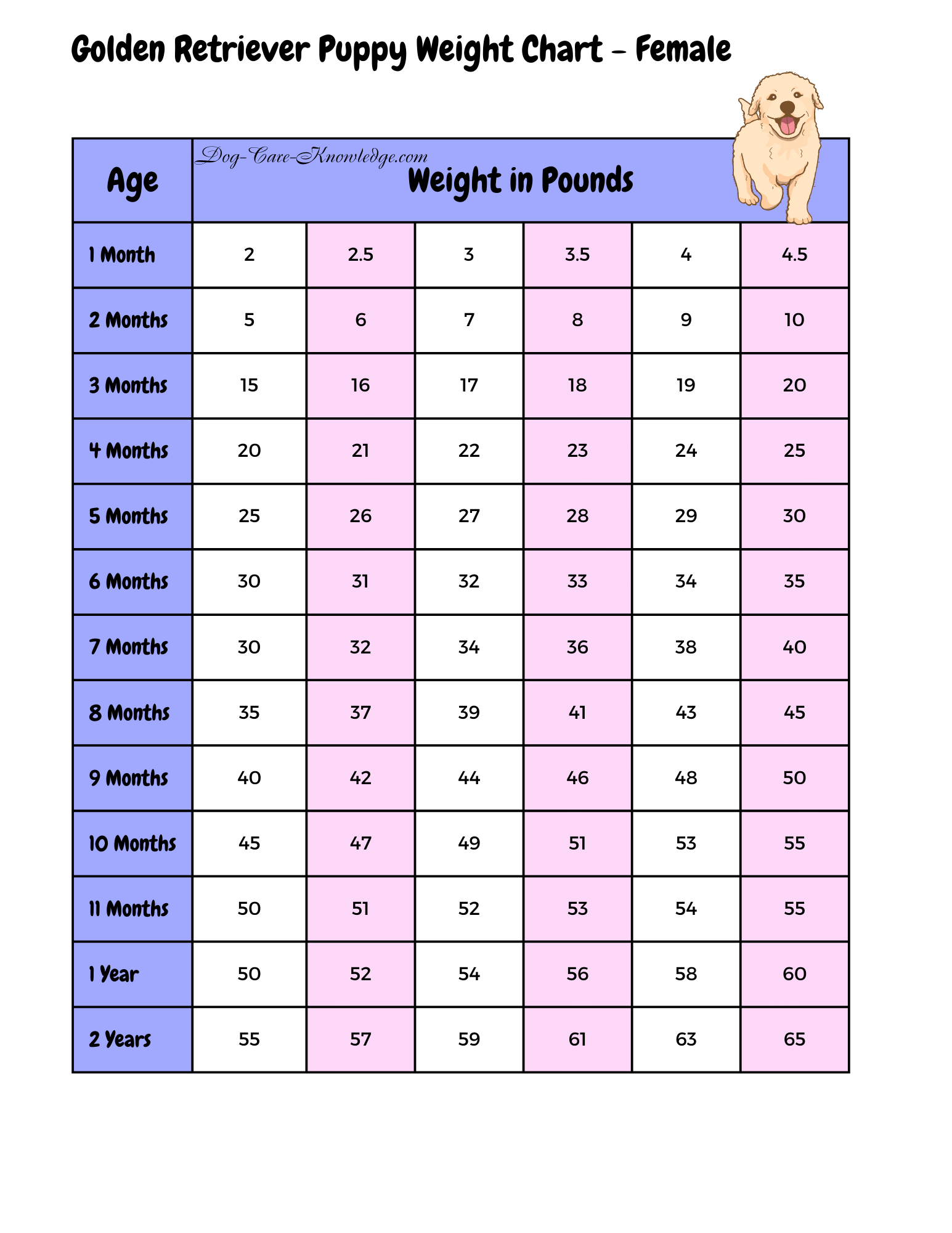 Female golden retriever weight chart