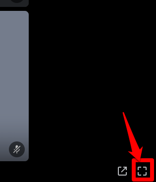 Closeup image showing the full-screen button on Discord