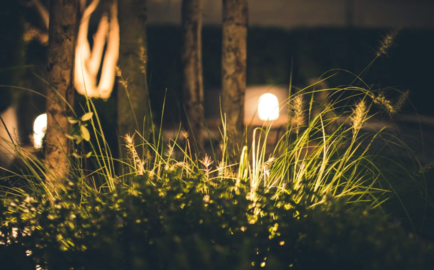 Outdoor Lighting Garden | Photo from Pexels Website