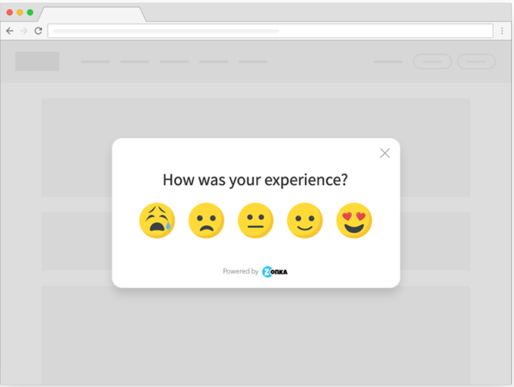 Website Feedback Popup Survey