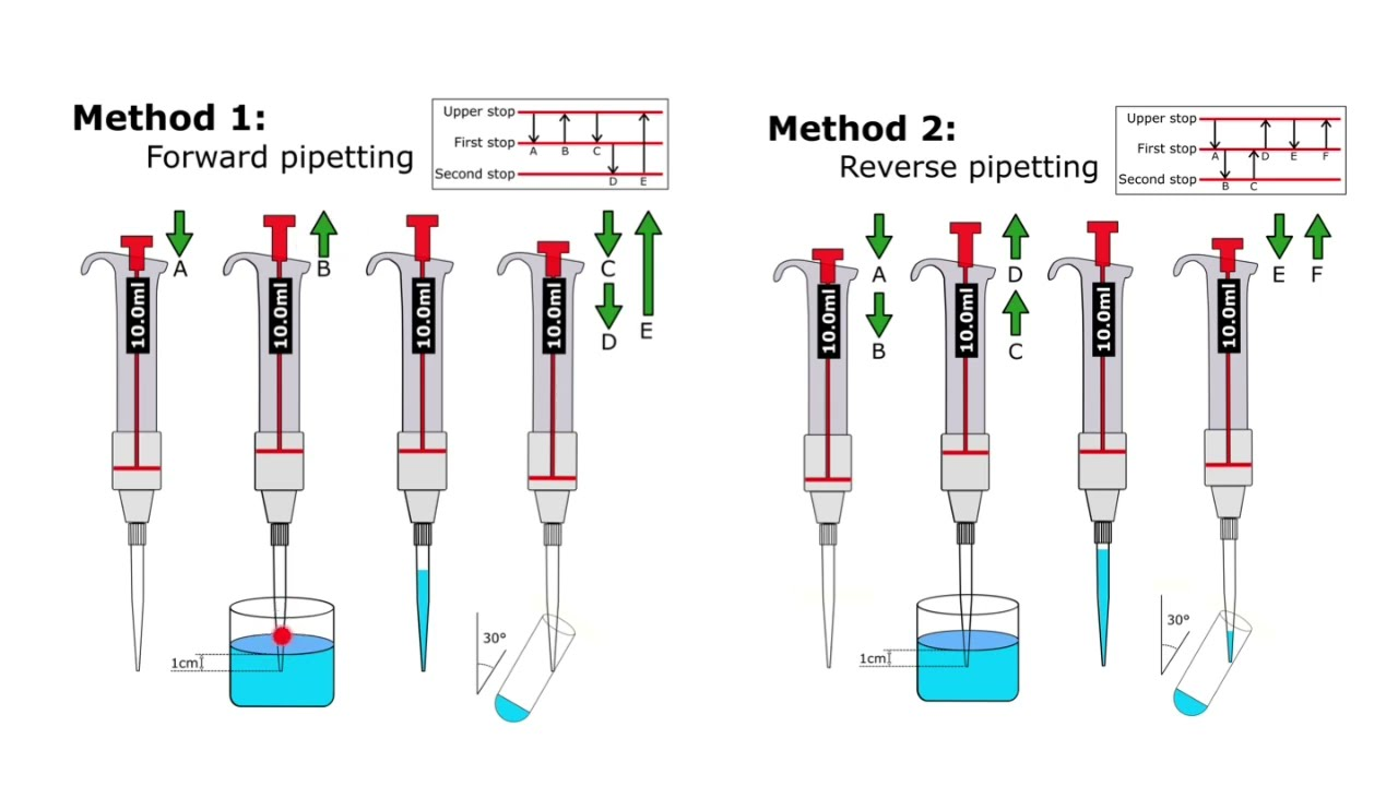 Illustration of forward and reverse pipetting techniques