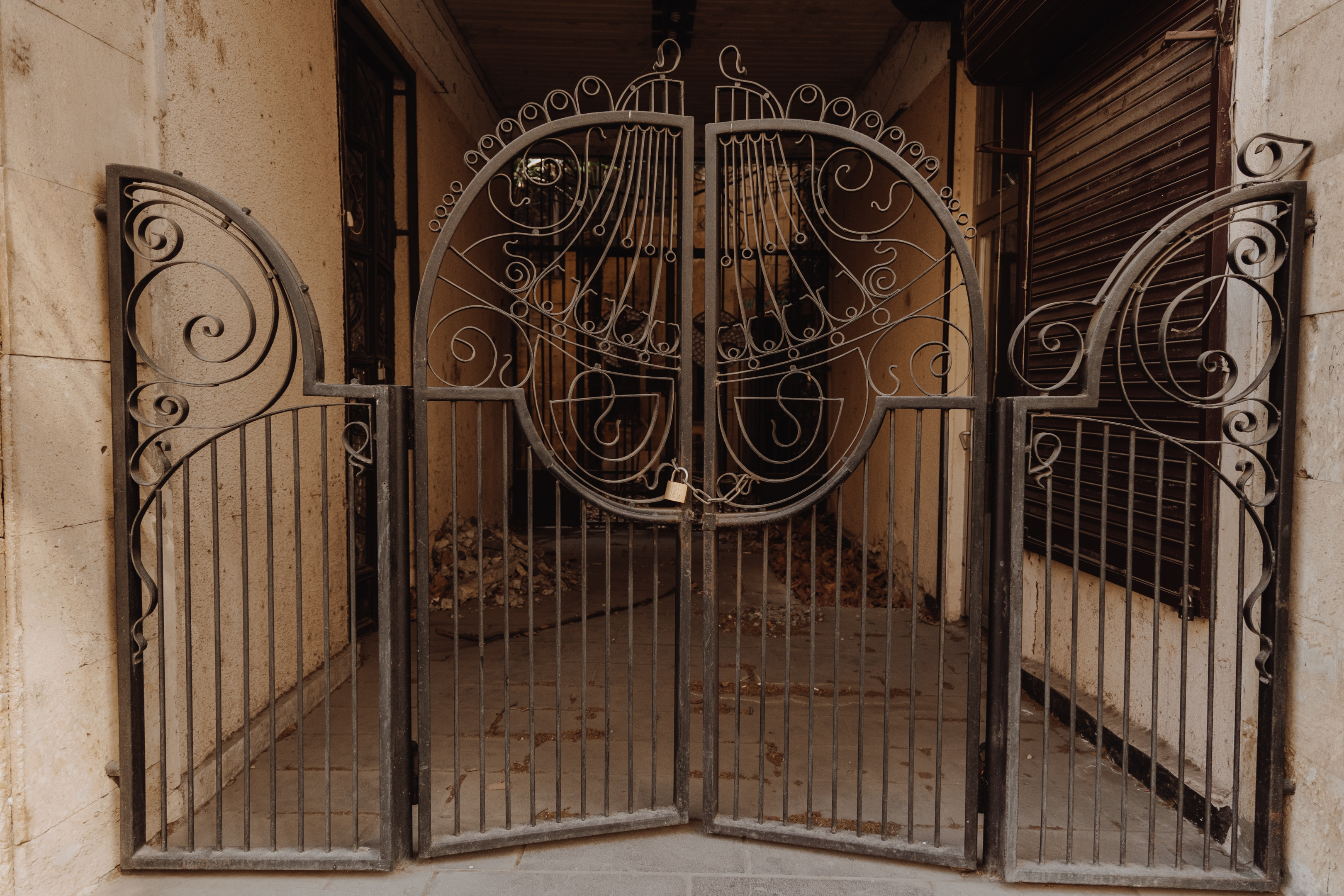 Decorative metal gate