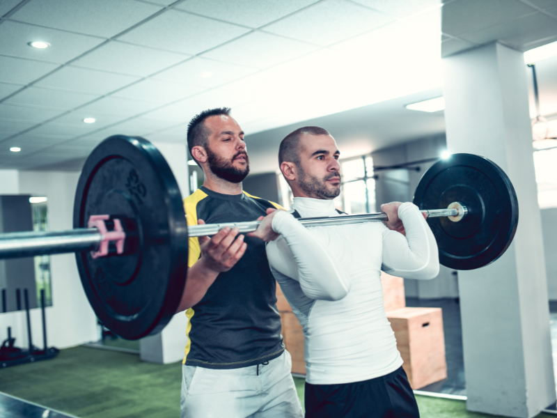 overhead press muscles worked