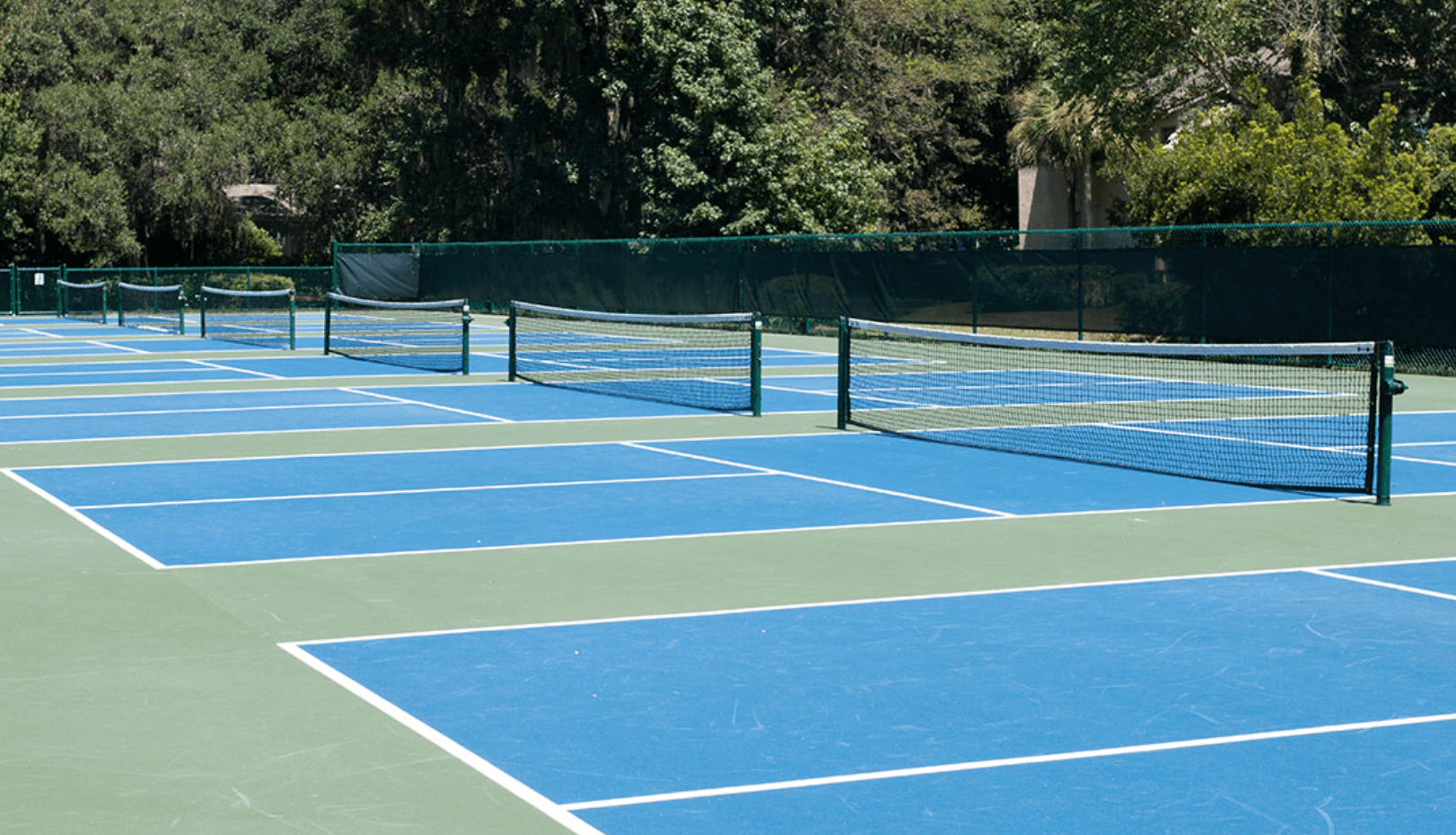 pickleball is the fastest growing sport in America