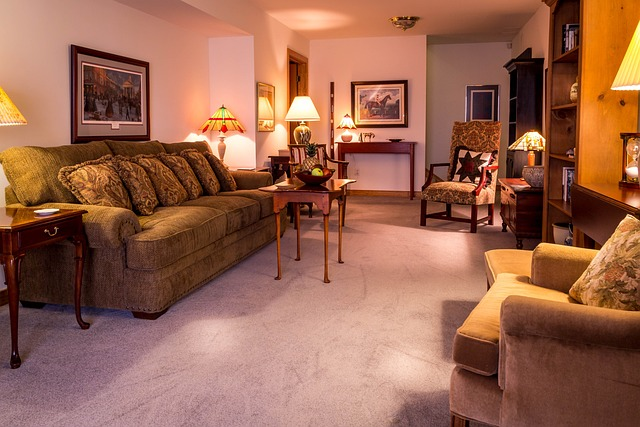 5 Best Carpet Stain Removers