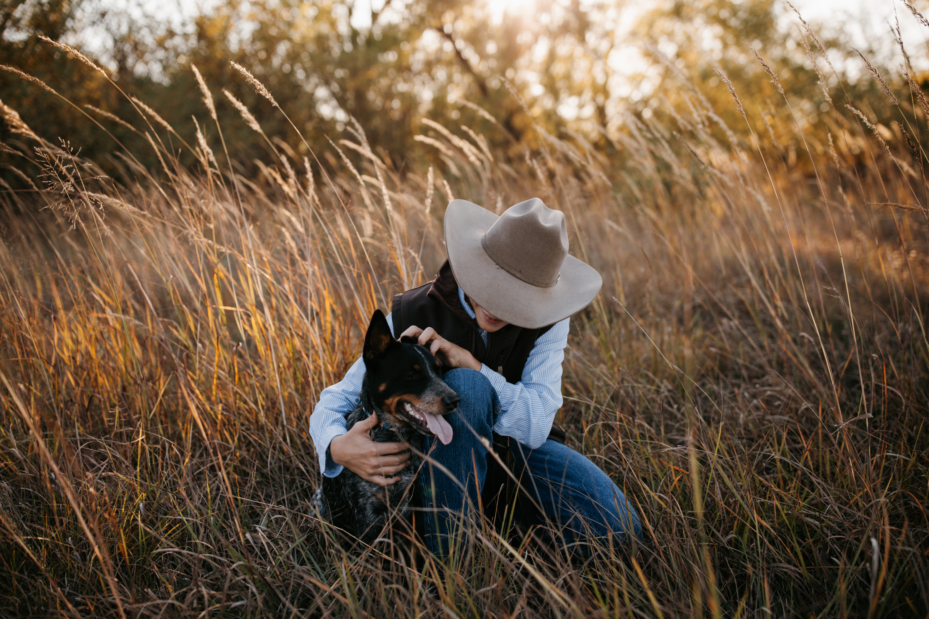 Healthy dog and boy playing in field together