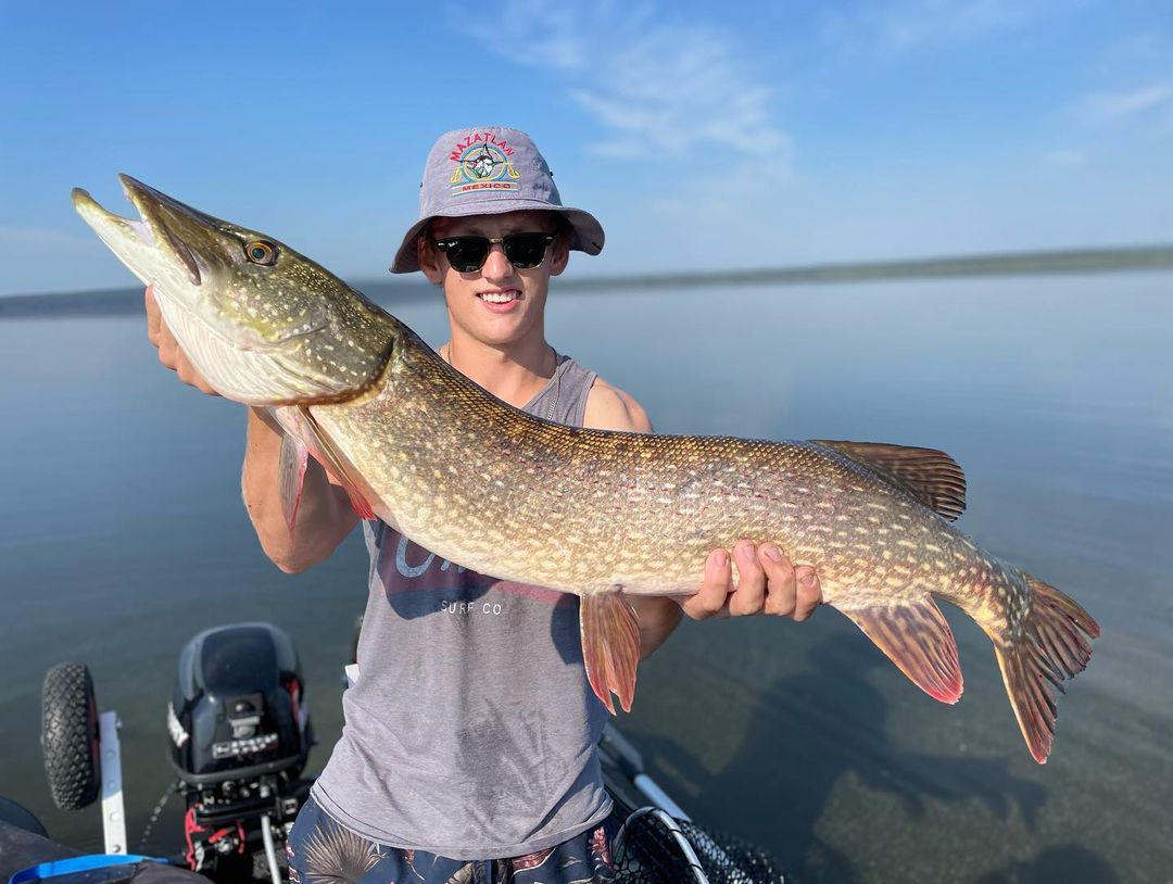 Alberta Northern Pike, Big Northern Pike 