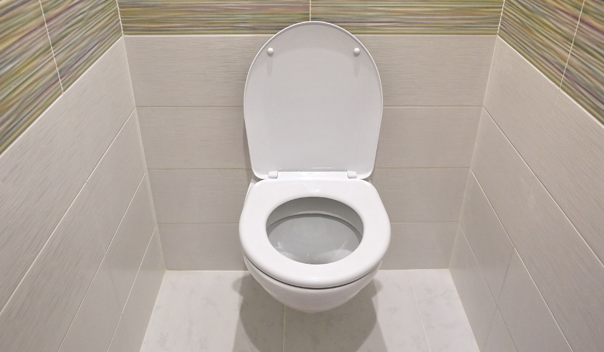 How to fit toilet seat - Classic white toilet in WC with large white and coloured pattern tiles