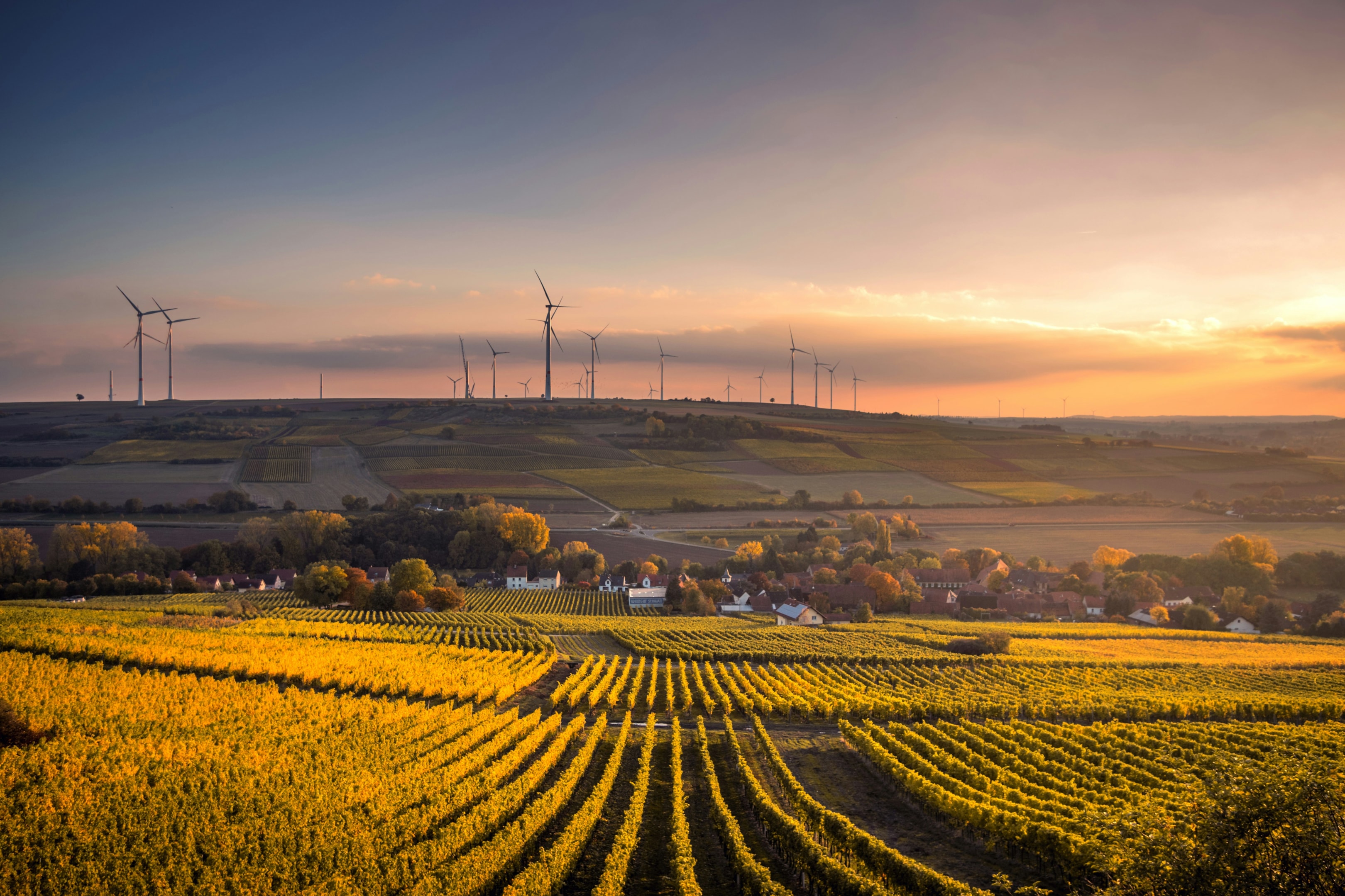 The Essential Guide to Smart Investing in Farmland for Beginners