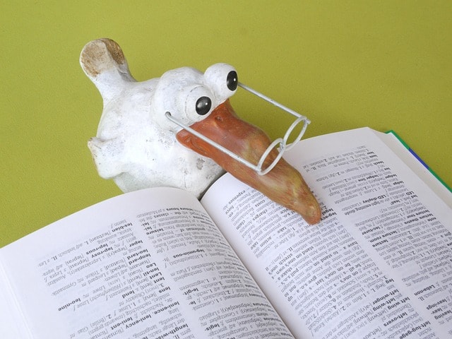 A model duck with glasses reading a dictionary, representing the idea of studying writing.
