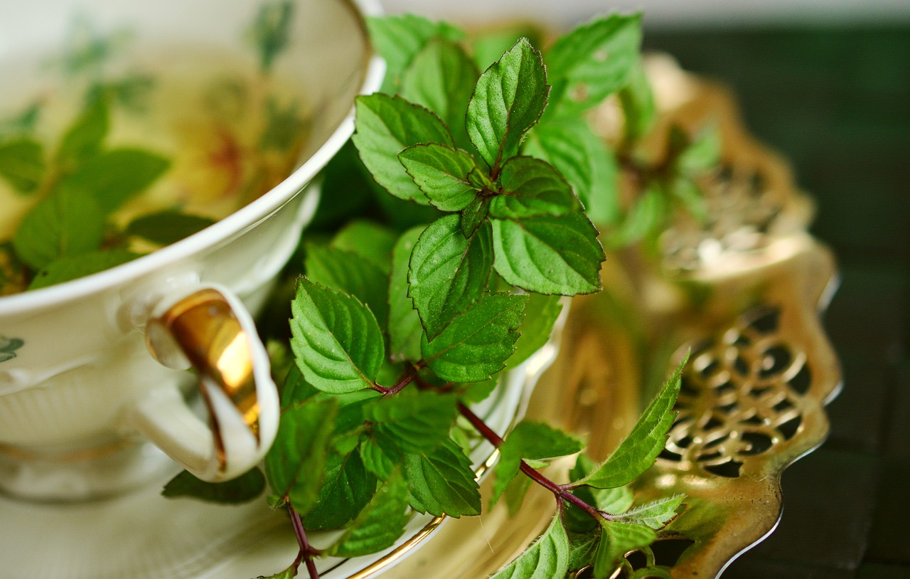 An image of a cup of peppermint tea with peppermint leaves in and around the cup.