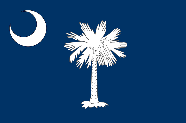 flag, nature, south carolina, business loans in south carolina