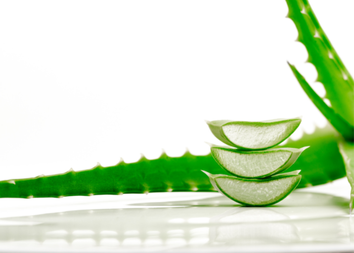 Cómo se usa el aloe vera para quitar las verrugas
