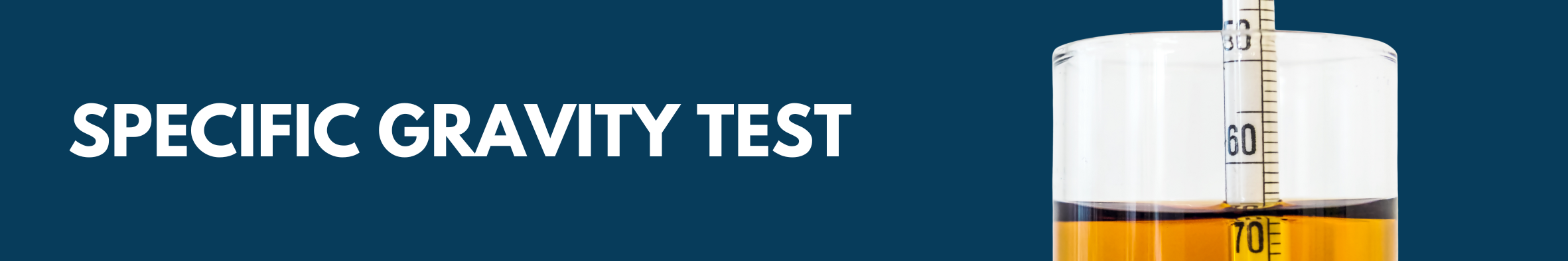 specific gravity test 