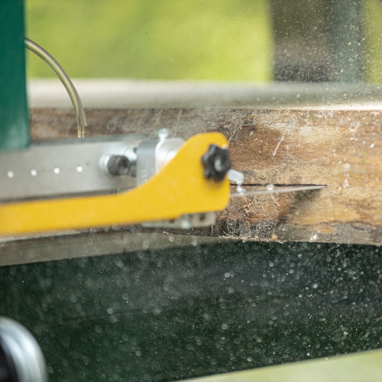 A log being cut into with a portable sawmill blade. 