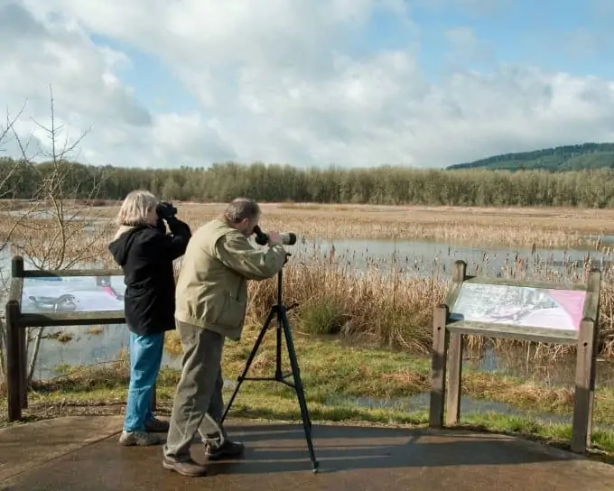 Community and Resources for Florida Bird Watchers