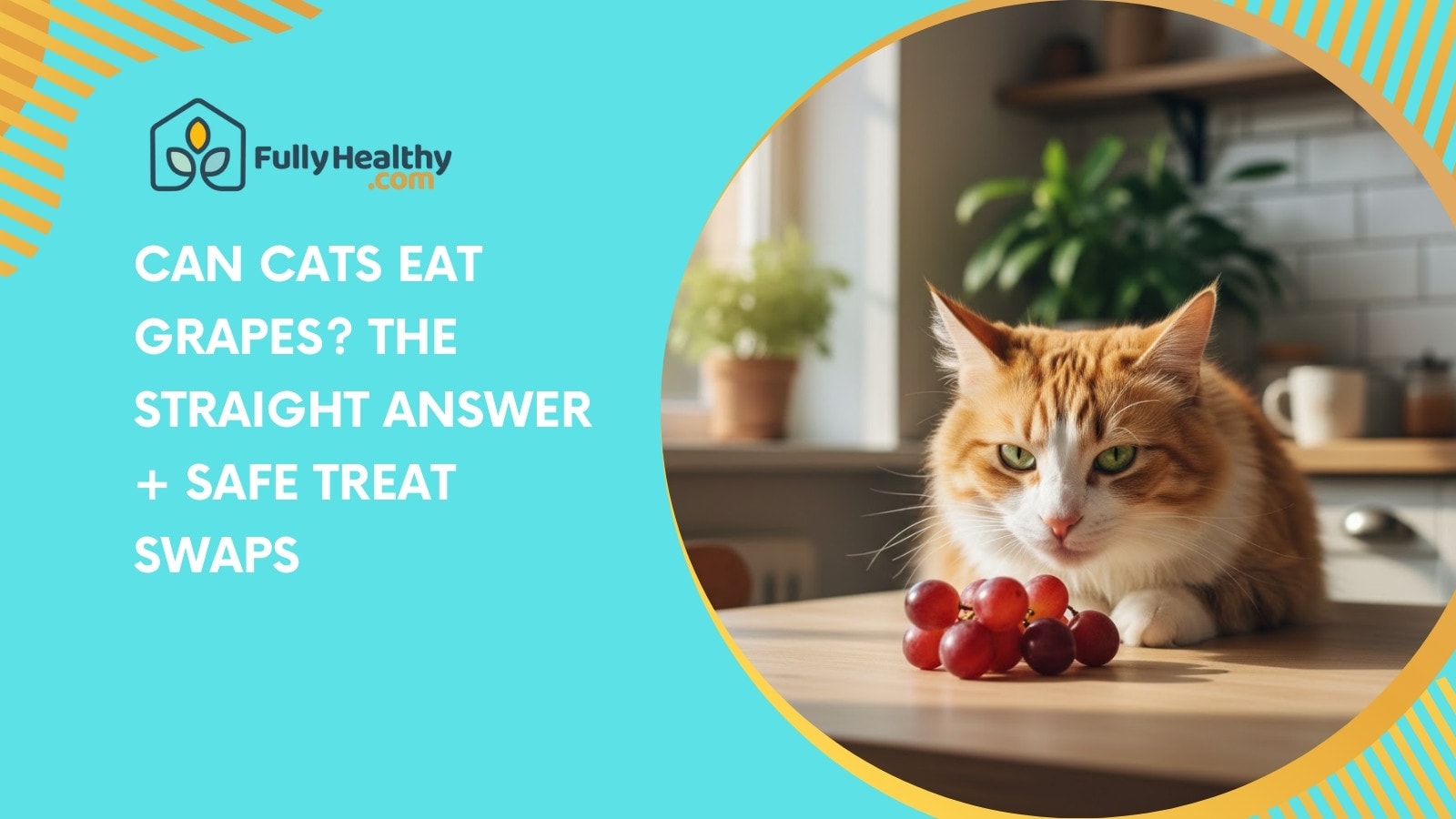 Can Cats Eat Grapes? The Straight Answer + Safe Treat Swaps