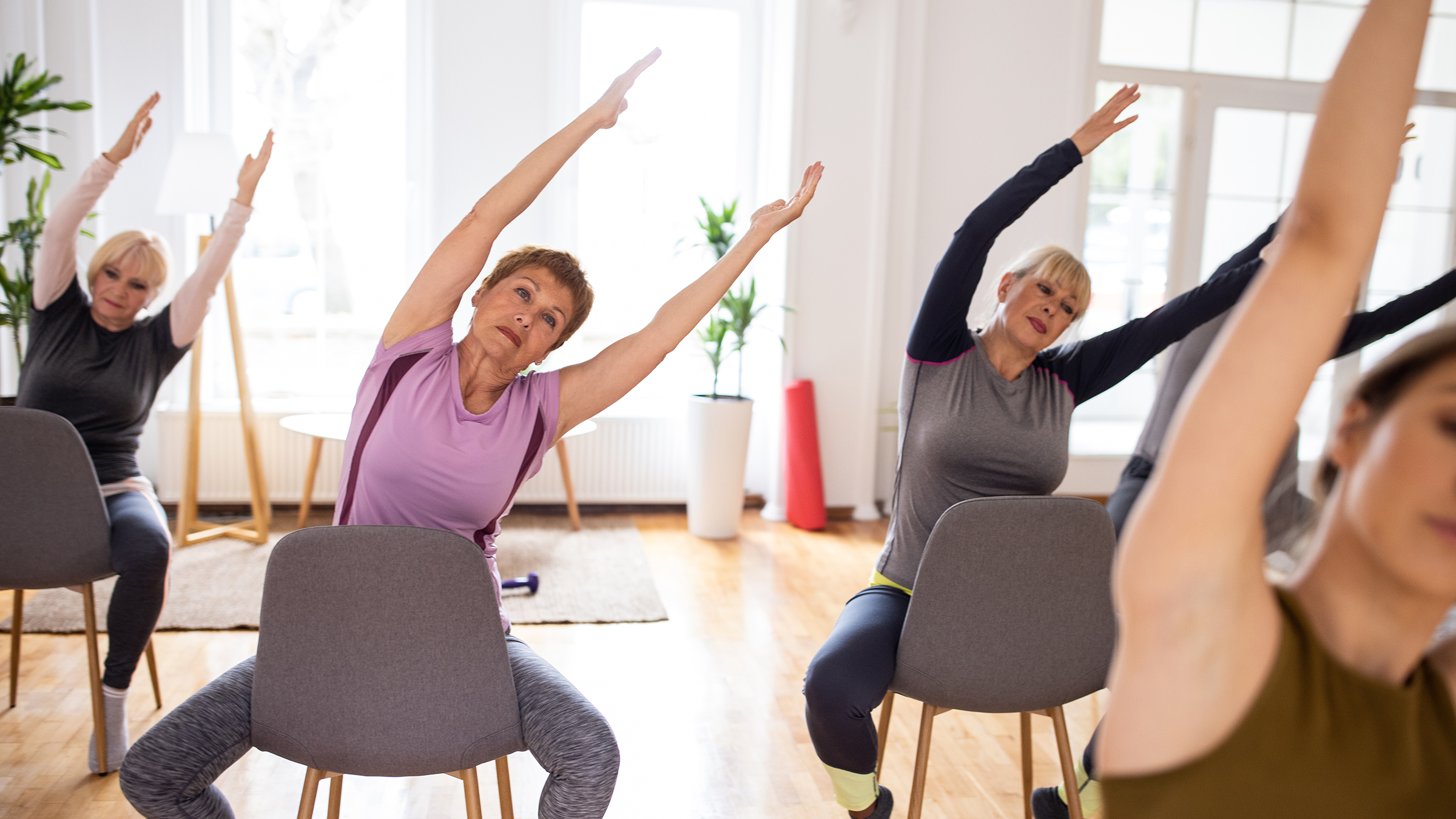 Sit and Stretch: Free Chair Yoga Exercises for Senior Wellness