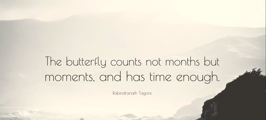 The butterfly counts not months but moments and has time enough; Rabindranath Tagore: