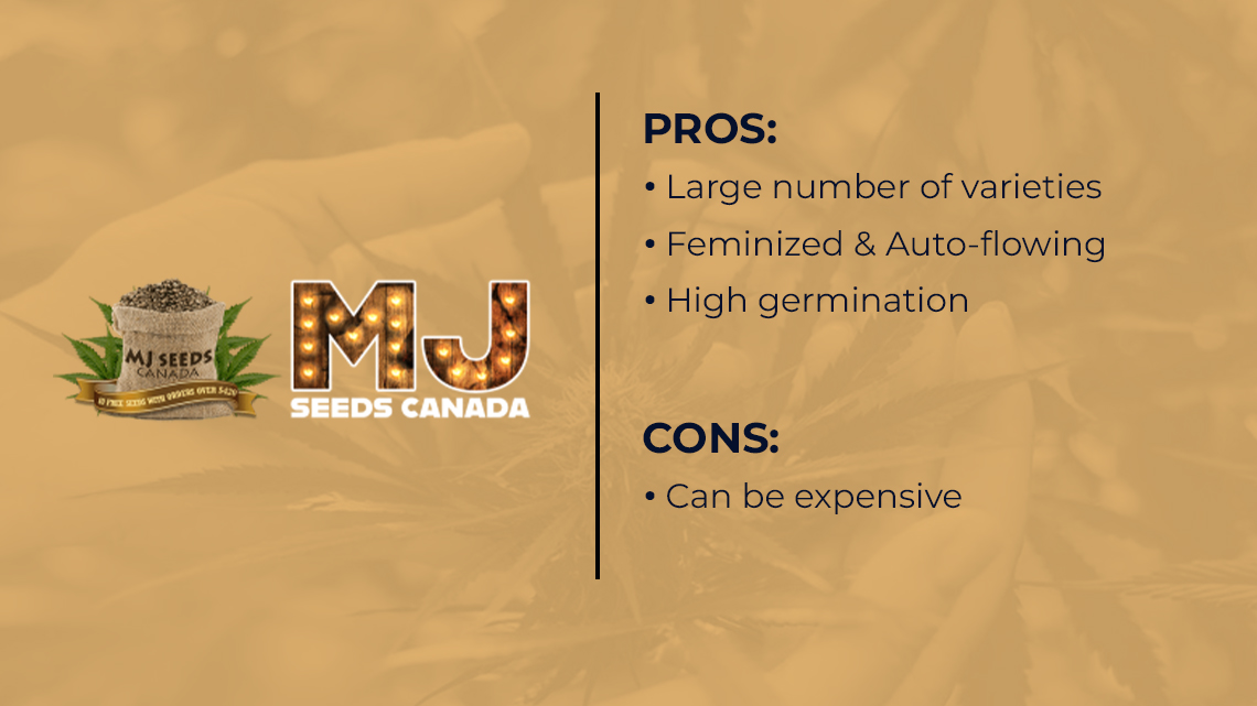 mj seeds canada