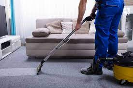 professional carpet cleaner