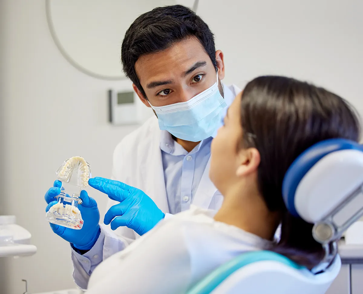 A dentist explaining a clear dental model to a patient