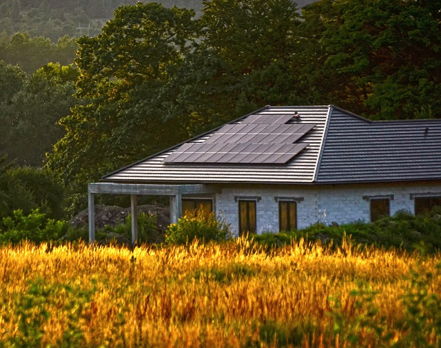 Panneaux photovoltaïques