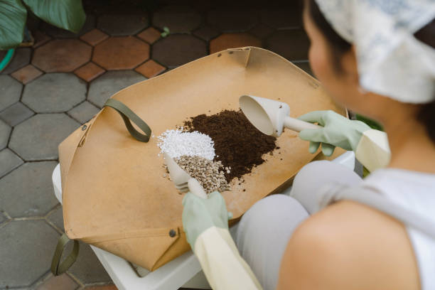 Craft the ideal bonsai soil mix