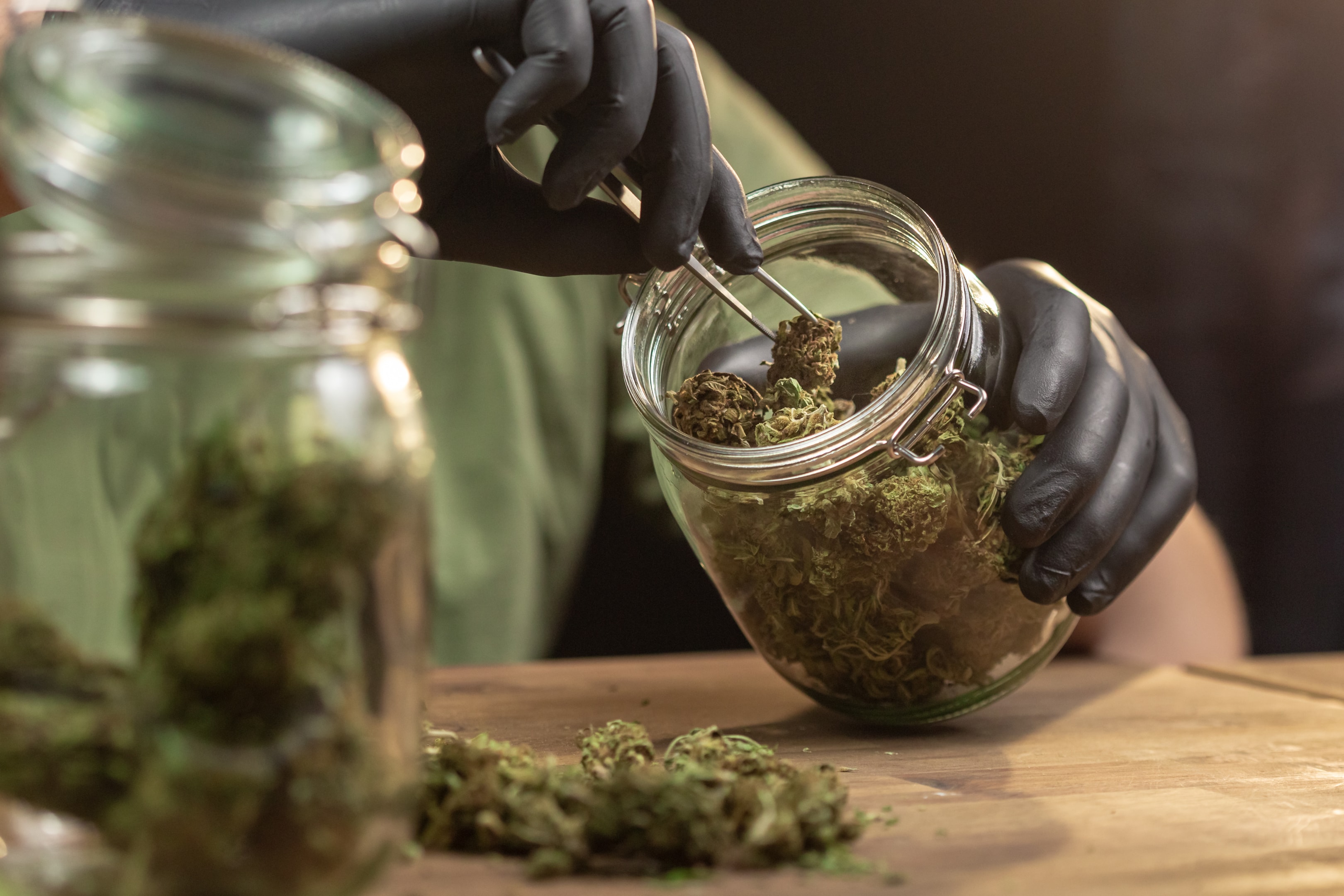 High-THCA Flower vs. CBD Flower: Key Differences and Benefits