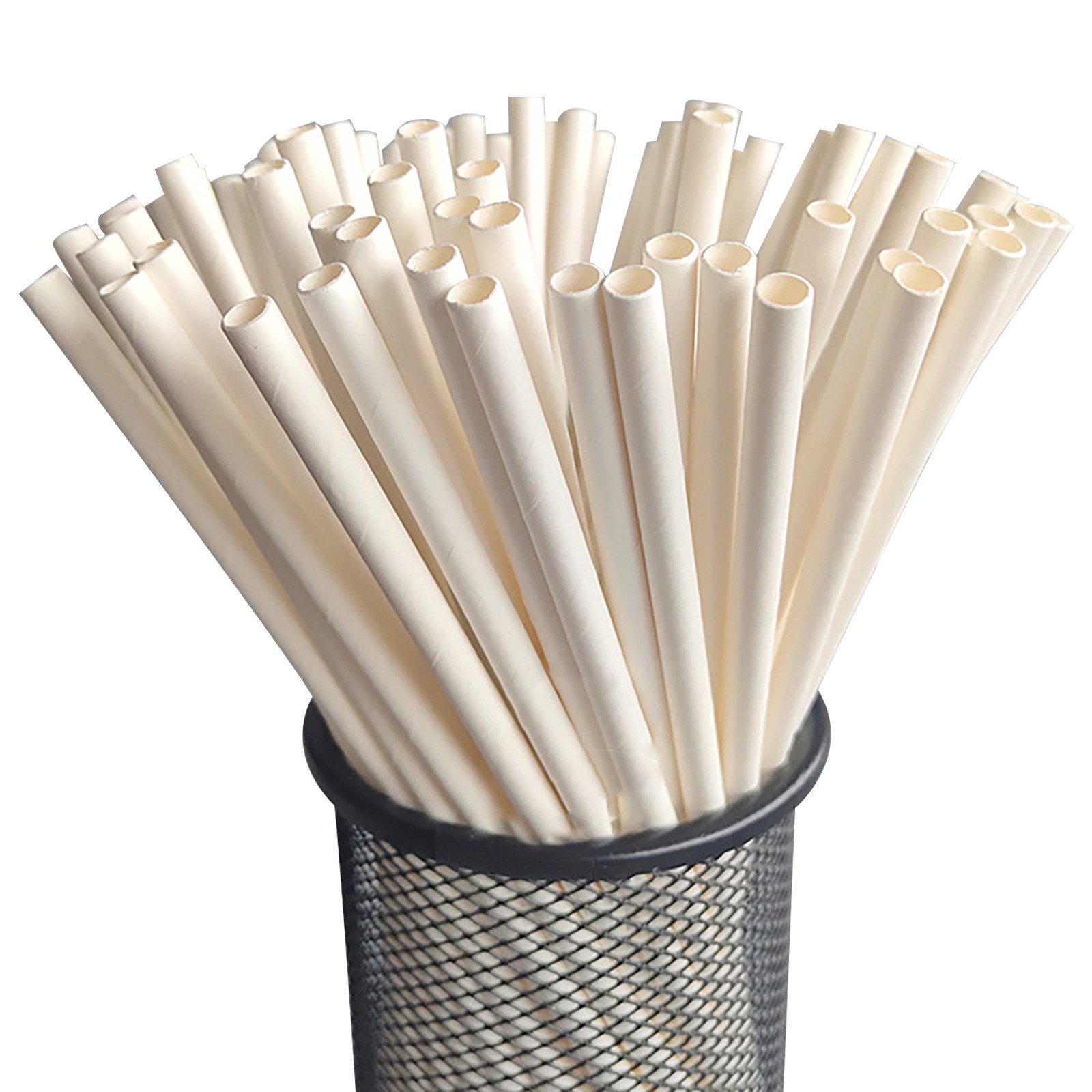 Bamboo Paper Straws Vs. White Paper Straws Homestraw