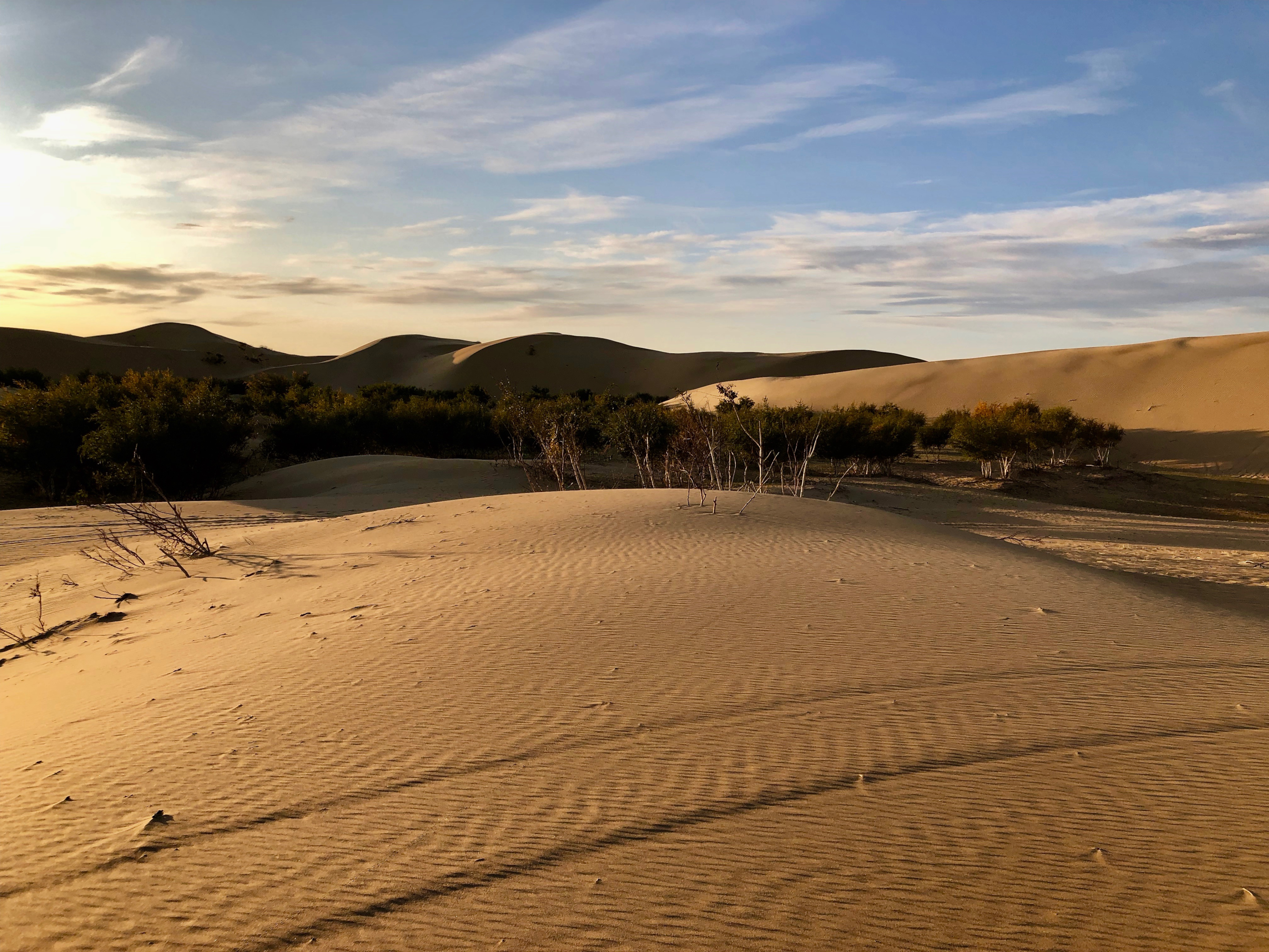 Camping in the Gobi desert under the stars is a magical experience