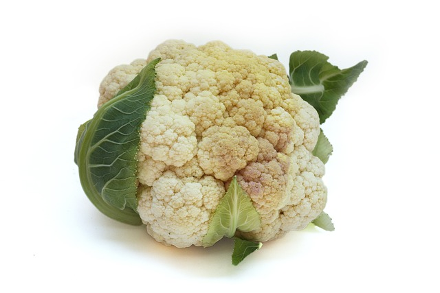 How To Grow Hydroponic Cauliflower