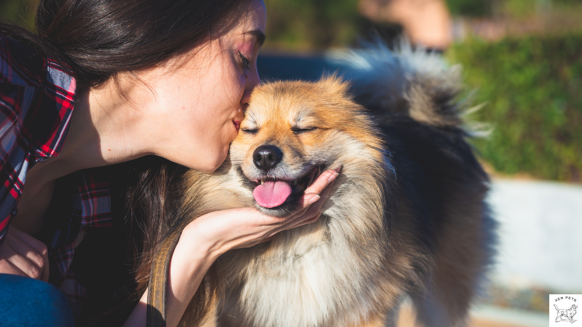 woman kissing a dog