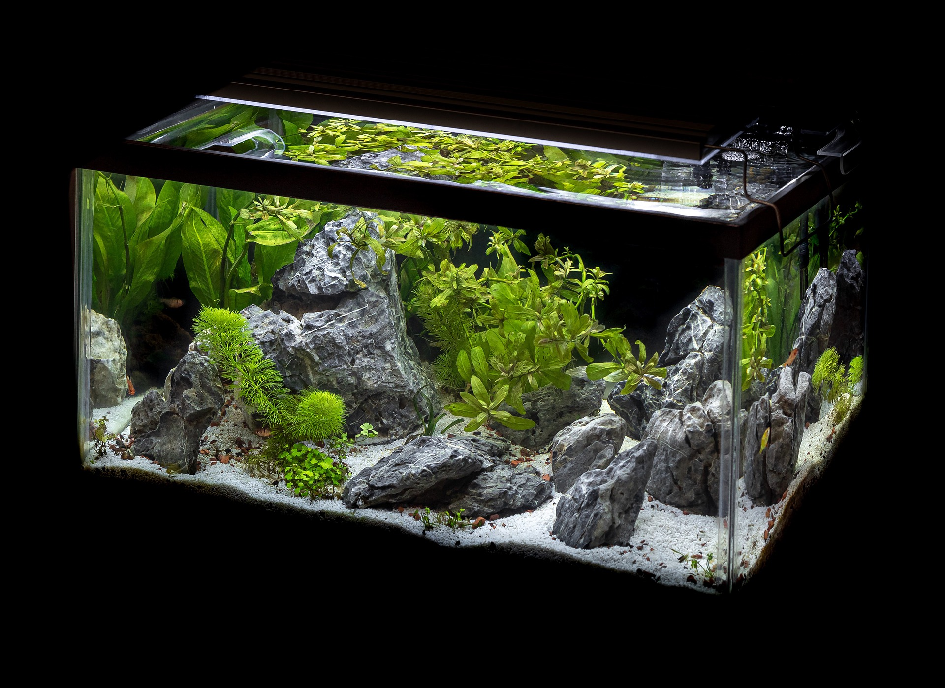 Aquarium decorations overview 