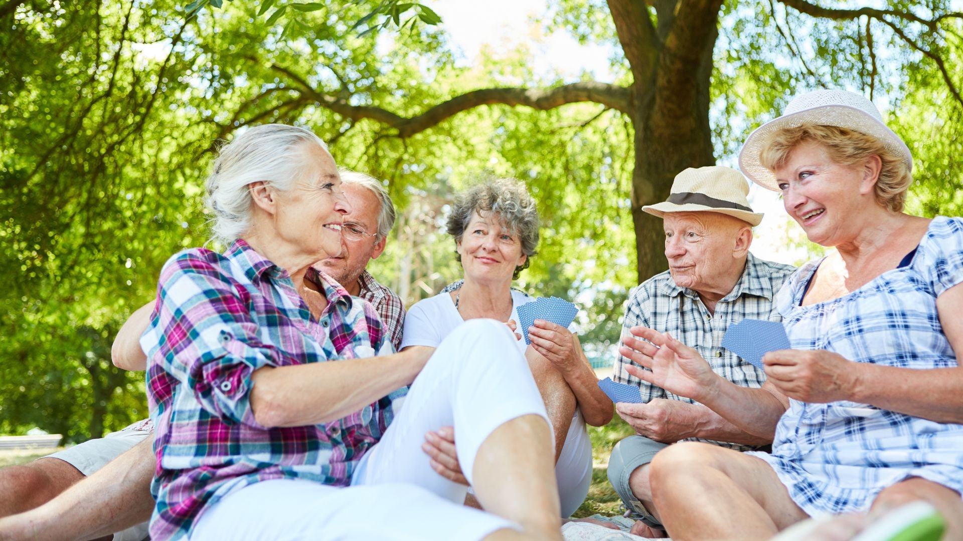 Senior apartments in Toledo where retirees can expect community features near weekend activities, and weekly routines.