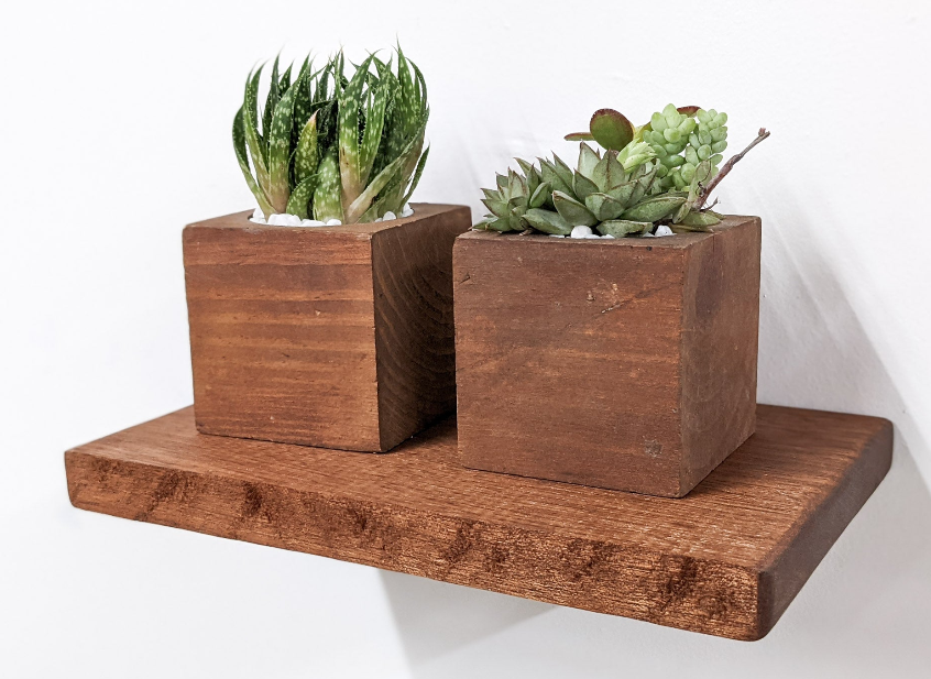 A front view of a wall-mounted live edge shelf in mahogany. Two square mahogany wood planters sit on top the shelf and hold succulents.