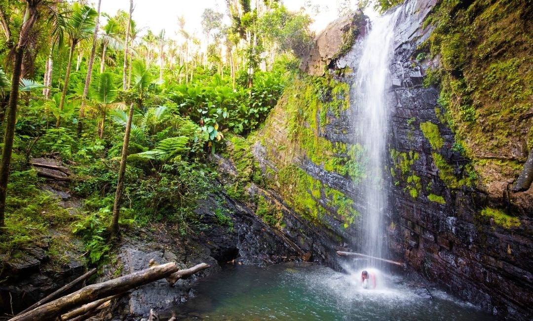 El Yunque Rainforest Adventures