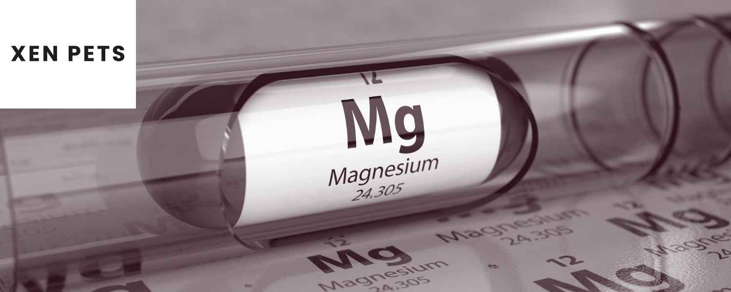 magnesium citrate in dog Calming Treats