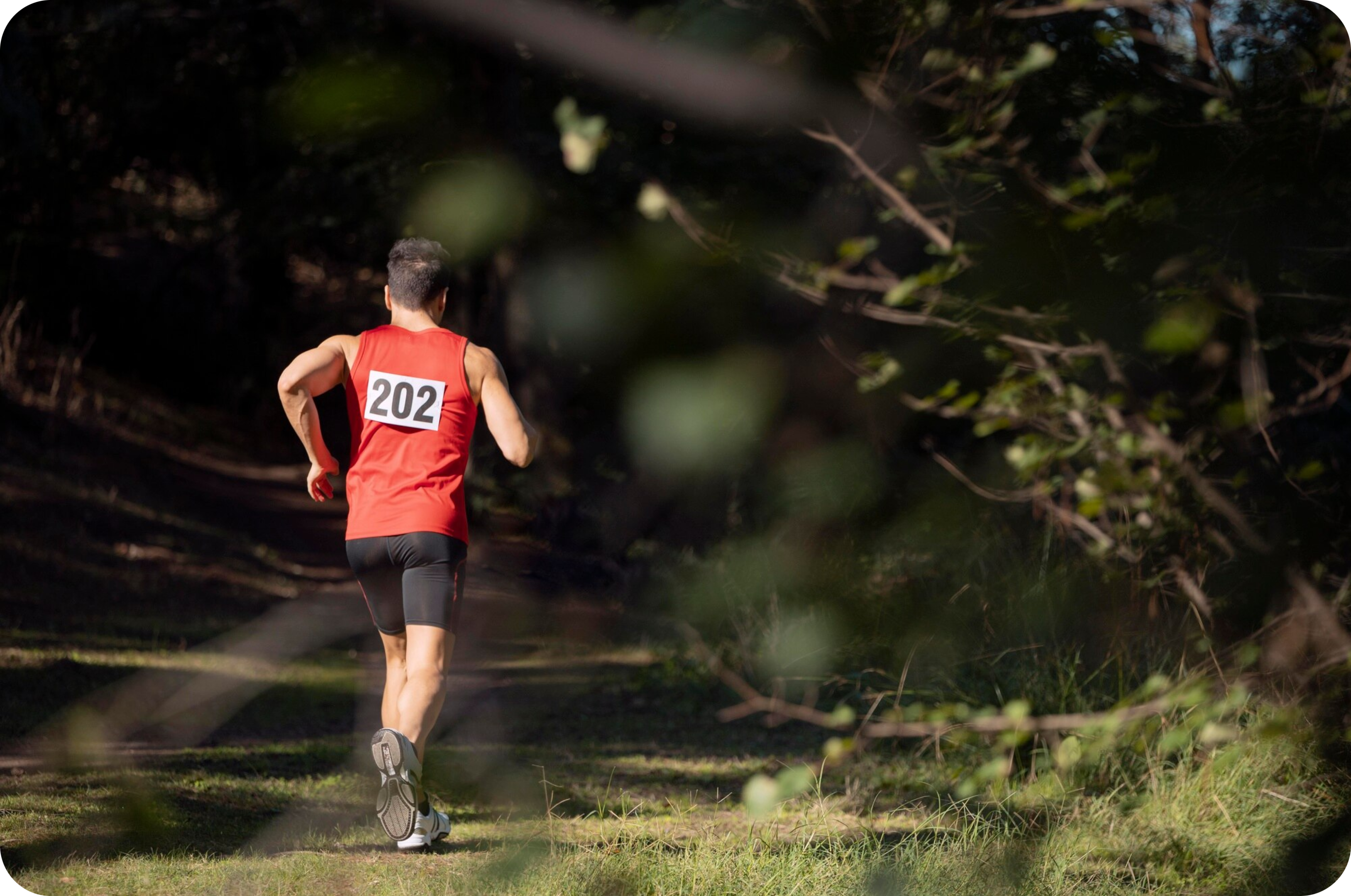 Achieving Peark Performance With Training Plan Generator - TriWorldHub