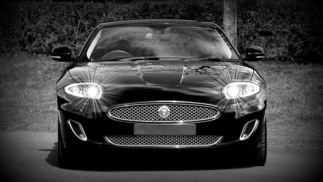 jaguar, car, vehicle